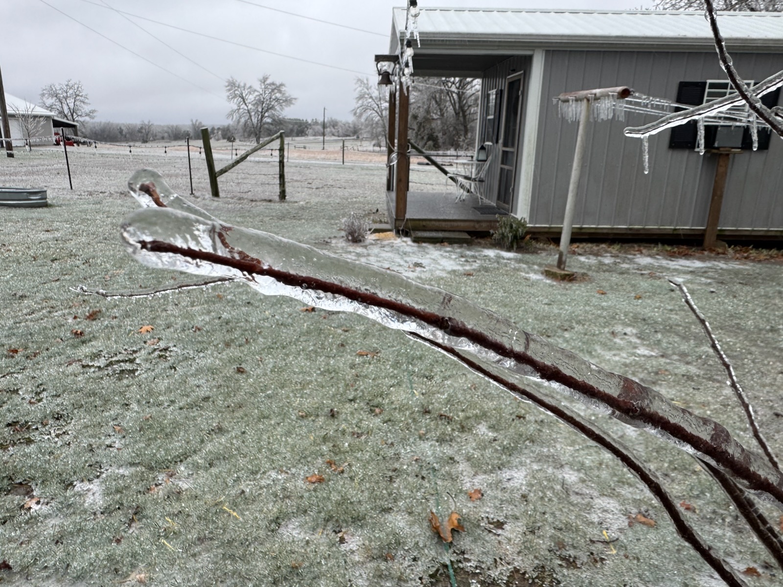 Photo of ice accretion on a tree branch near Fredericktown, MO.